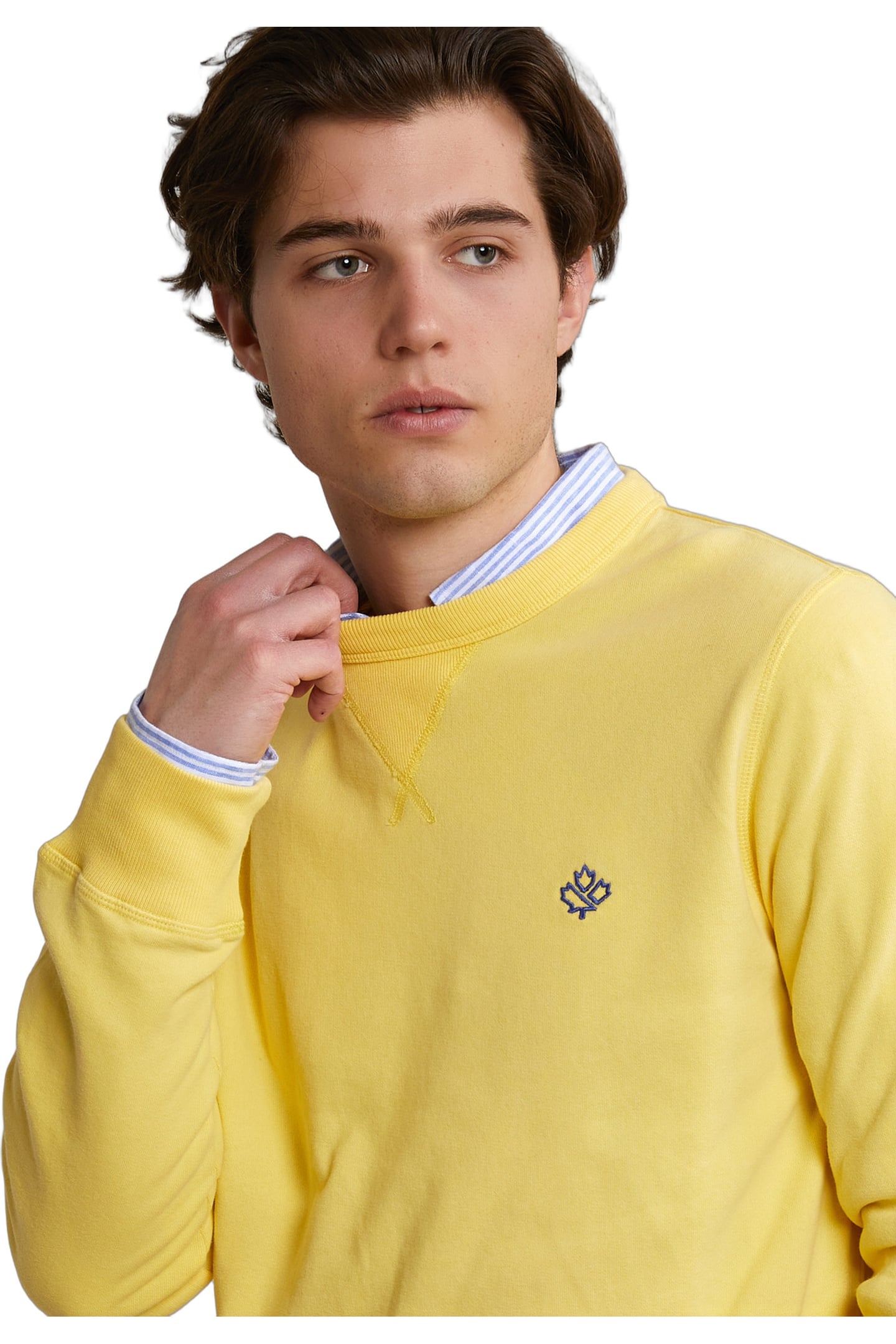 FANCY CREW NECK SWEATER SUN FLOWER 4