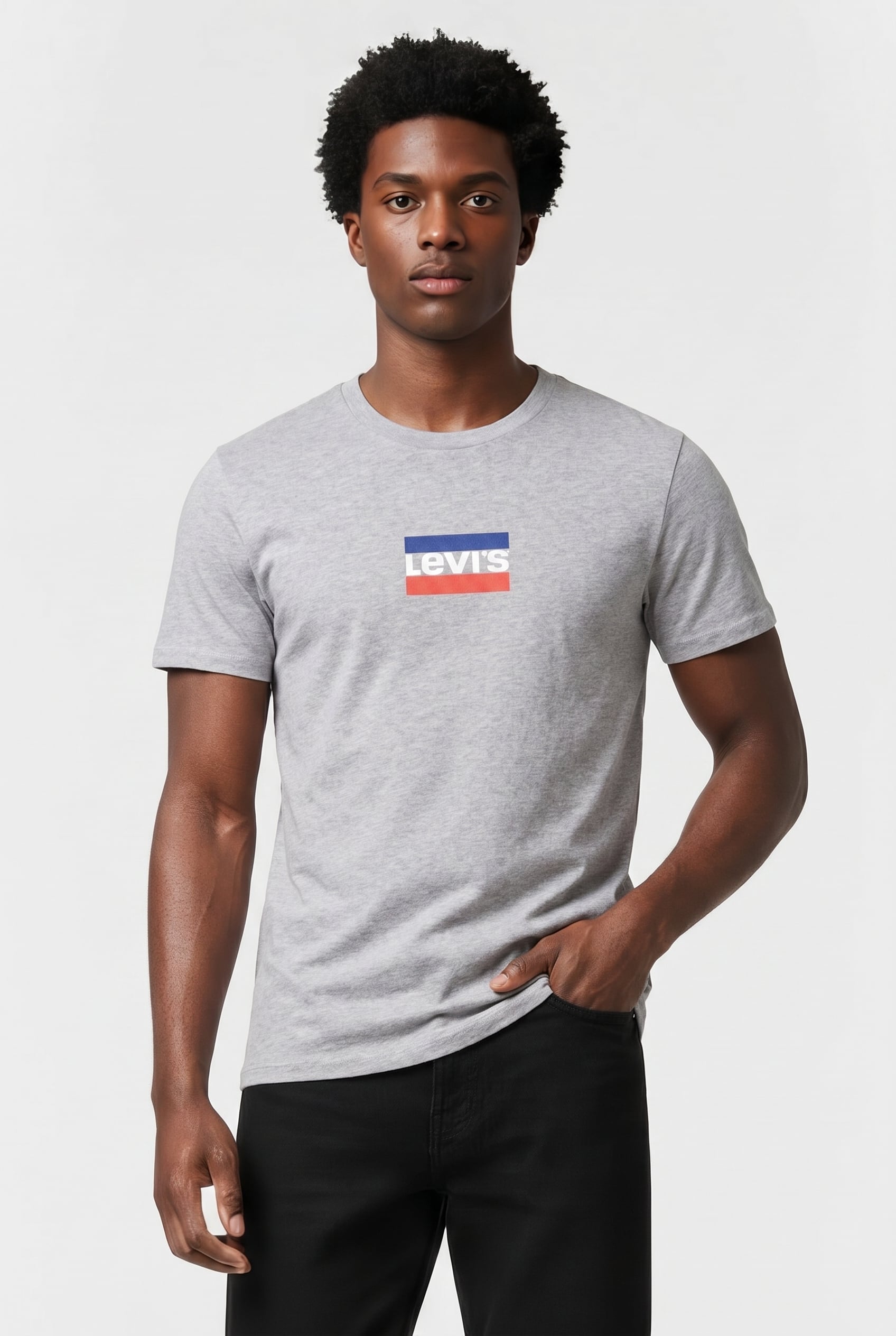 Levi's Lsegraphic Crewneck Te Mini Sportswear Maat: L | Basic T-Shirts Outlet | Heren | Grijs