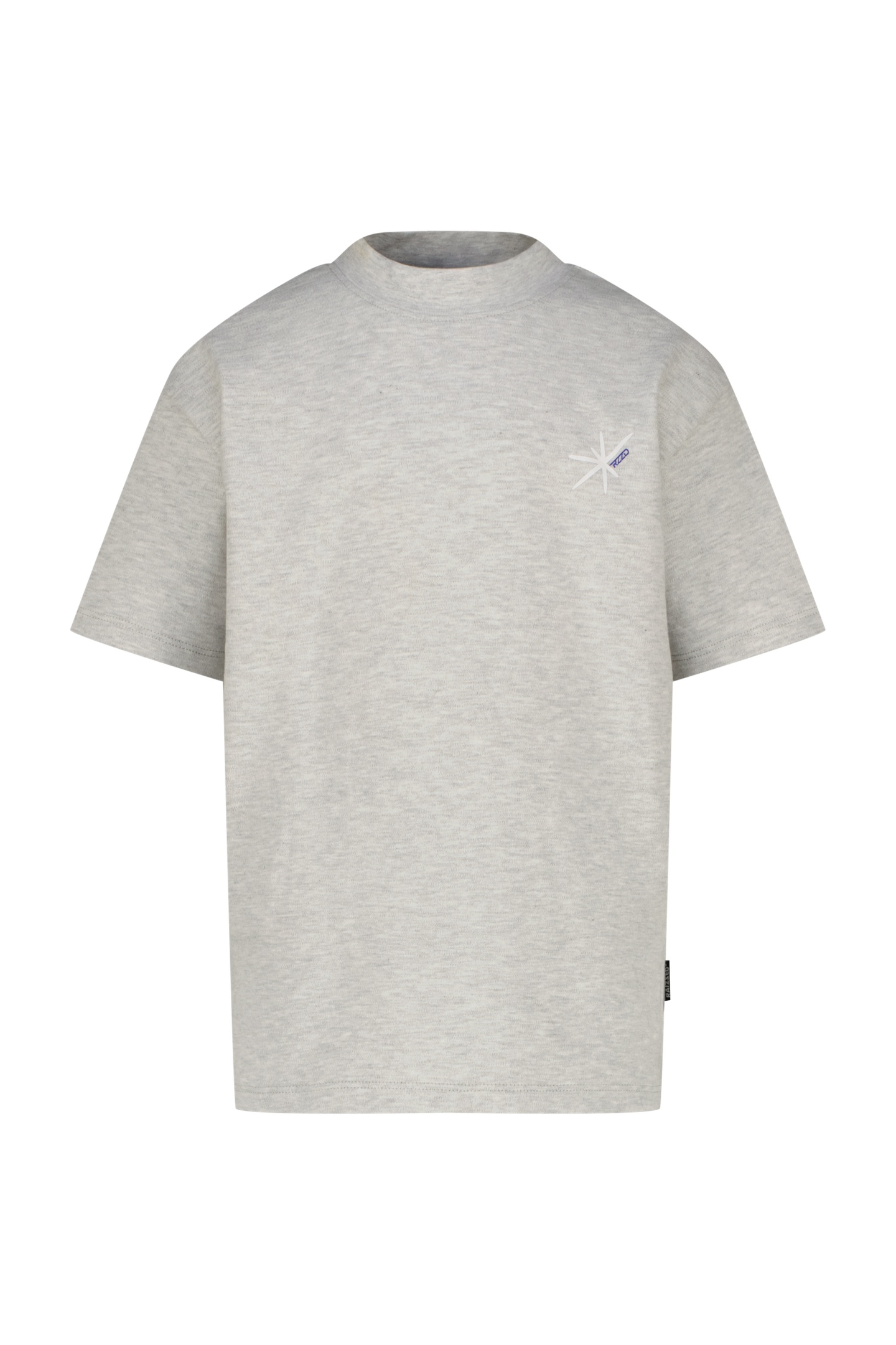 RAIZZED Boys Holden T-shirt Grey Mellange Taglia: 12Y | T-shirt Outlet | kids | Grigio
