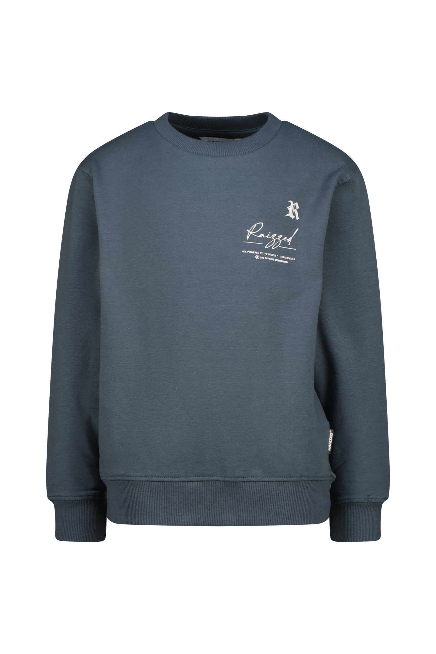 RAIZZED Boys Nile Sweater Thunder Sky Size: 12Y | Sweaters and Cardigans Outlet | kids | Blauw