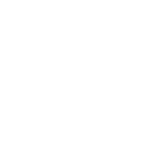The Boyscouts