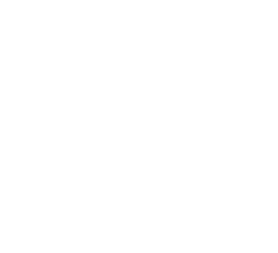 CHASIN’