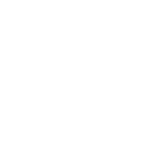 Gabbiano
