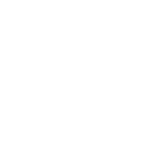 Van Lier