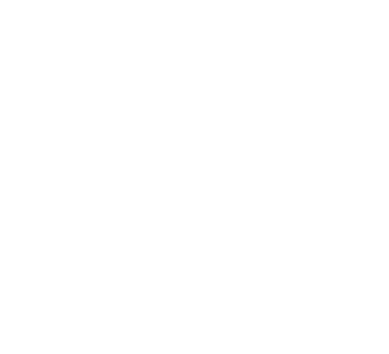 Dorothee Schumacher