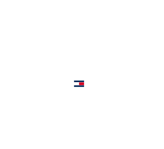 Tommy Hilfiger Sunglasses