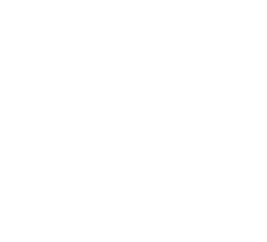 Camel Active Shoes