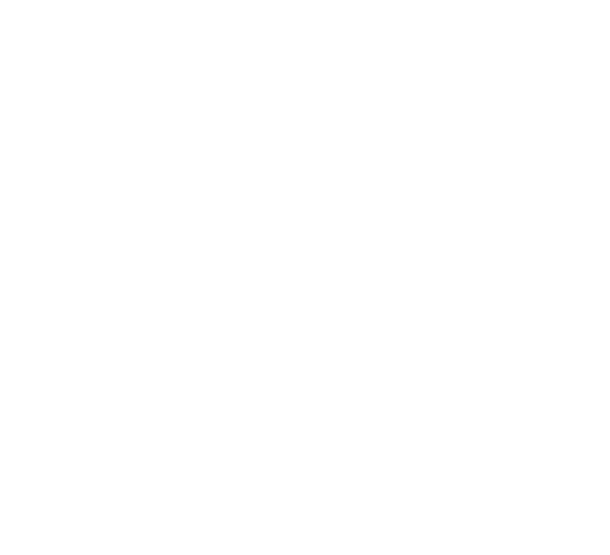 OBEY