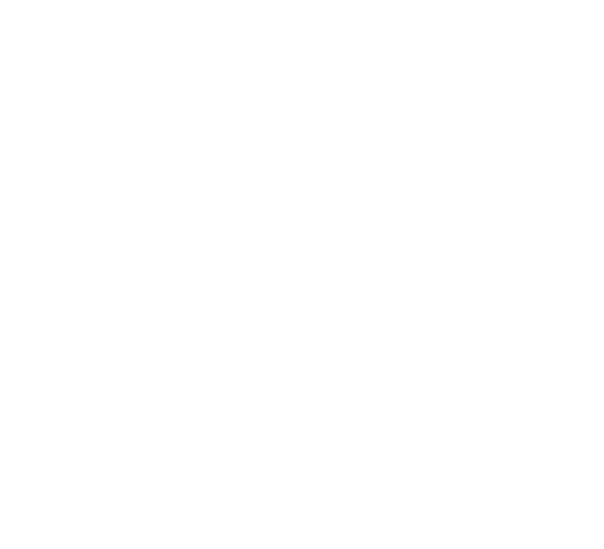 Bonobos