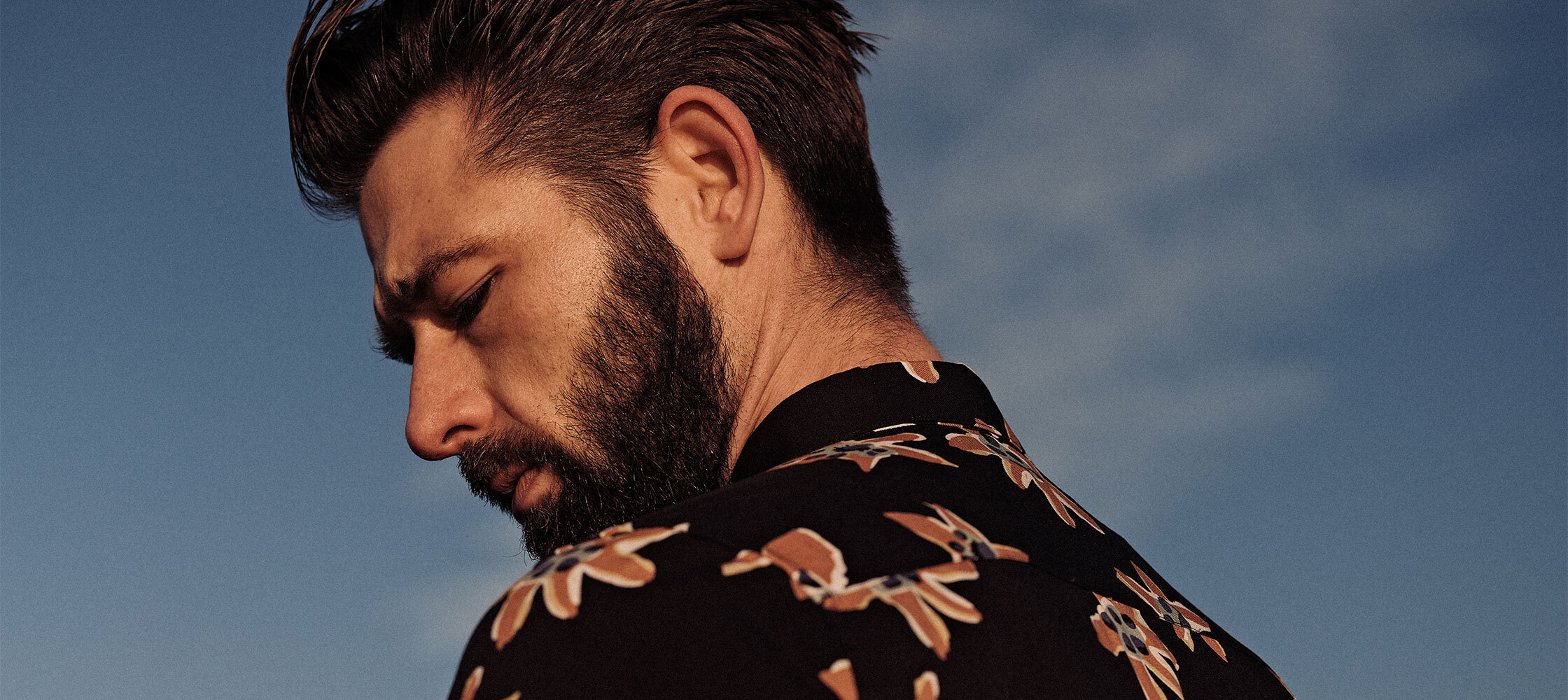 Dstrezzed brand cover