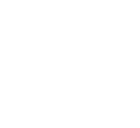 Sandro Eyewear