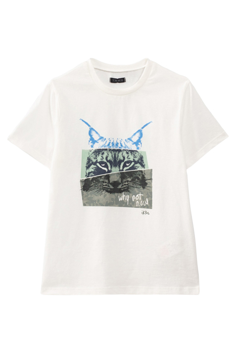 Boys’ off-white lynx image t-shirt size 14a