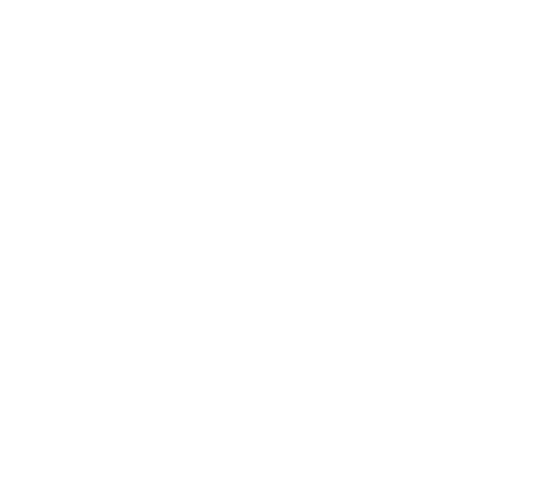 Regatta