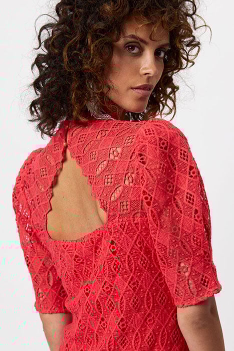 D6MARLEY LACE DRESS RUBY GRAPEFRUIT 4