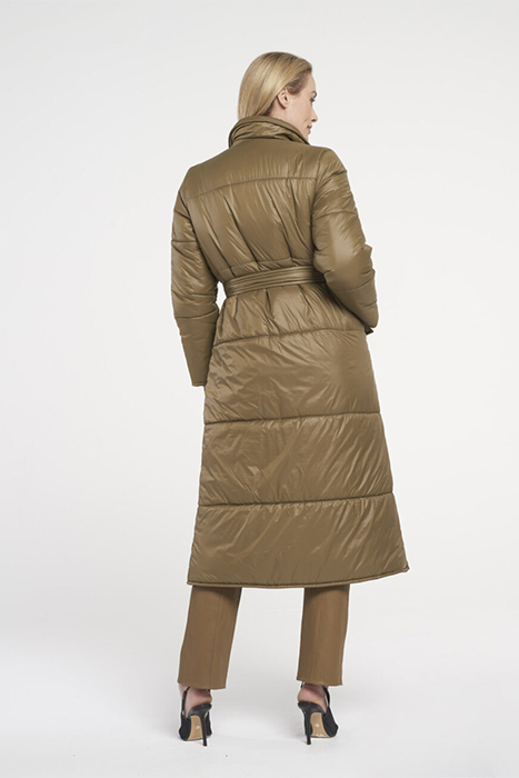 COSMOS ANTIQUE GOLD 2