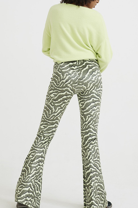 TR WILLOW SEA TURTLE 2