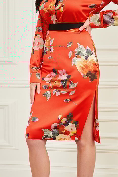 CORSAGE SKIRT PRINT 7