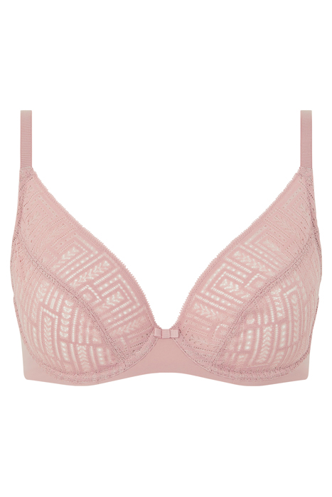 EVERYDAY GRAPHIQUE ENGLISH ROSE 5