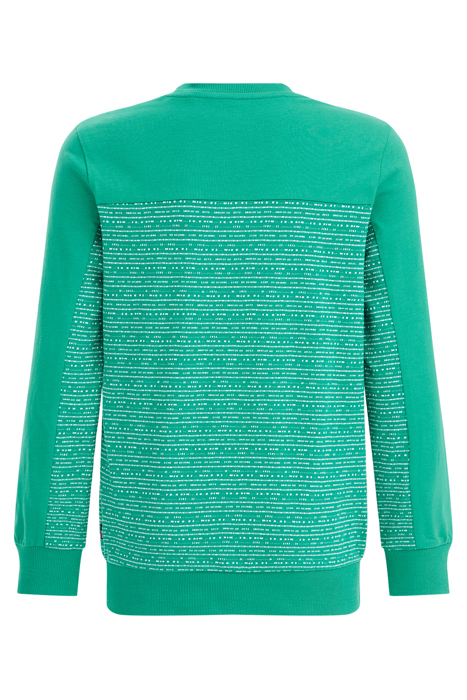 T-SHIRT MOSS GREEN 4