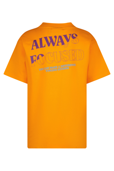 HAVEY ORANGE SPARKLE 2