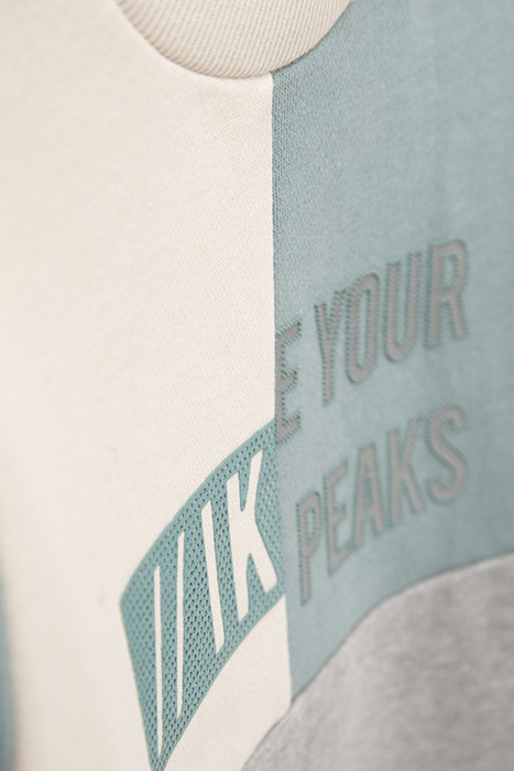 BOYS’ GREY, GREEN, AND ECRU SWEATSHIRT WITH RUBBER IMAGES 8