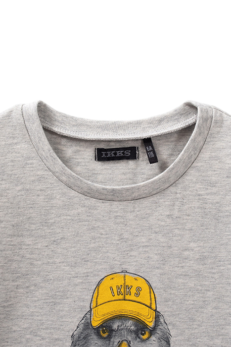 BOYS’ GREY T-SHIRT WITH AMERICAN EAGLE IMAGE GREY 3