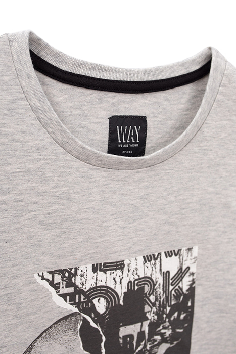 BOYS’ GREY DOUBLE IMAGE AND FLOCKED T-SHIRT GREY 5