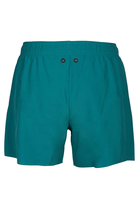 MEN'S ARENA EVO BEACH SHORT SOLID GREEN LAKE 5