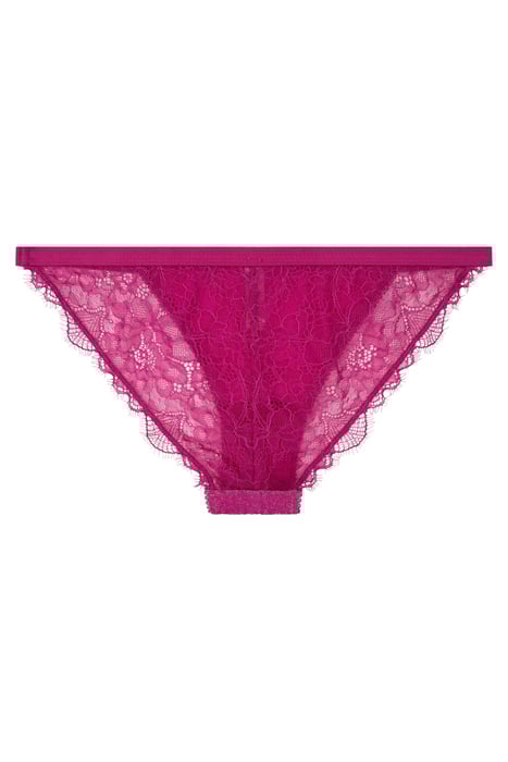 WILD ROSE BRIEF HOT PI 2