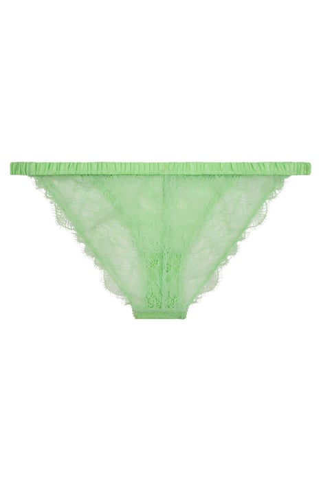 WILD ROSE BRIEF LIME 2