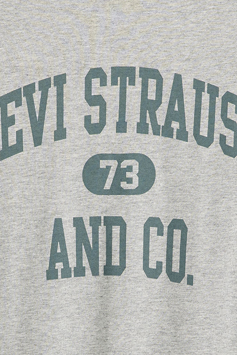 SS PRINTED T-SHIRT GREY 6