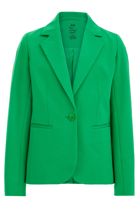 BLAZER GREEN 3