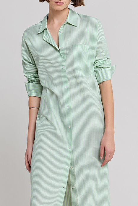 PISTACHIO STRIPED SHIRT WITH EMBROIDERED BACK 4