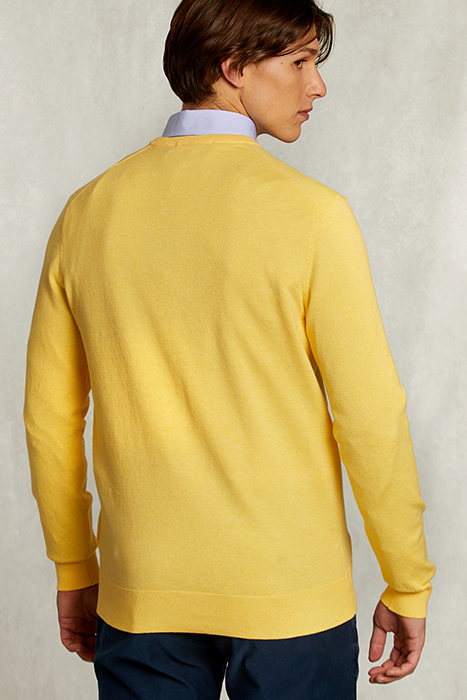 NORMAL FIT BASIC COTTON V-NECK PULLOVER BUTTERFLY MIX YELLOW 2