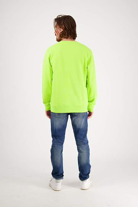 MONTREAL SWEATER LIZARD GREEN 4