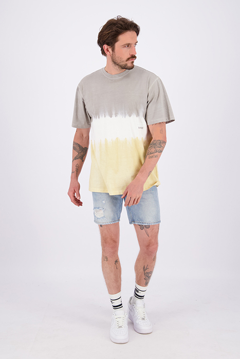 HAGUE T-SHIRT GREY FOG by RAIZZED