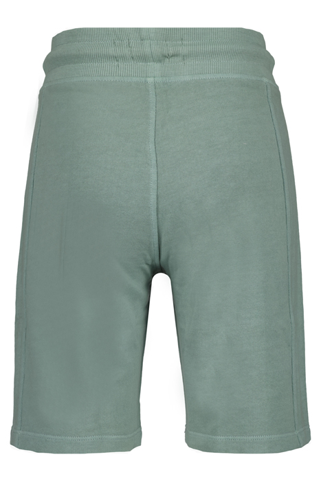 BOYS BRAD SHORTS MINT GREY 2