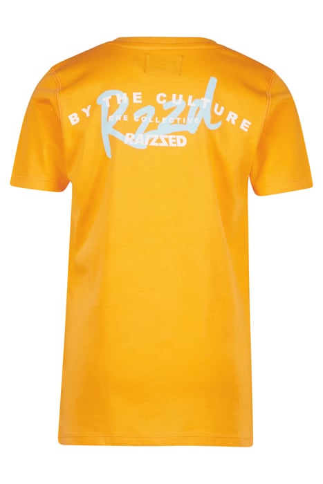 BOYS SUNRAY T-SHIRT FRUIT ORANGE 2