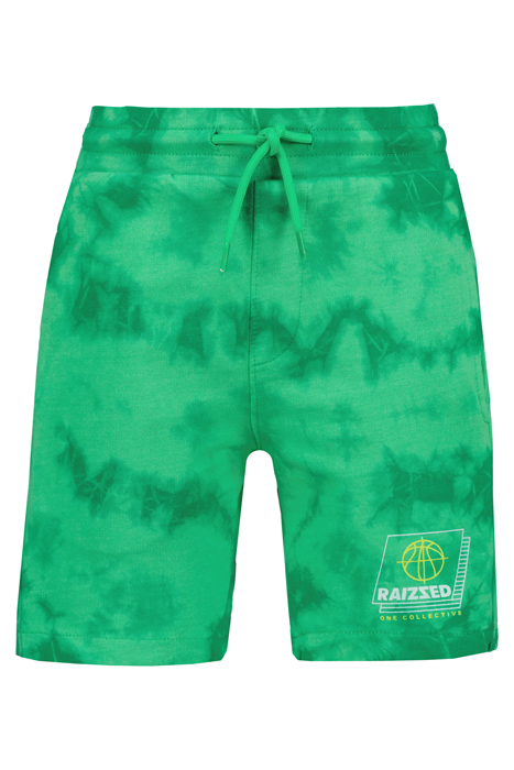BOYS BRANDON SHORTS GREEN SPORTS 3