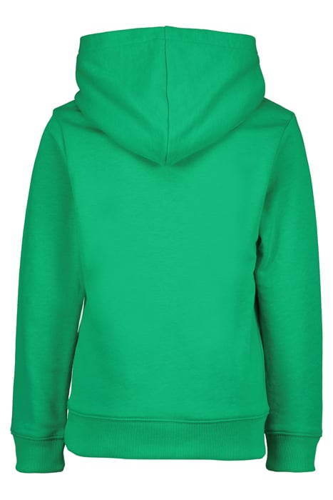 BOYS MYKEL SWEATER GREEN SPORTS 2