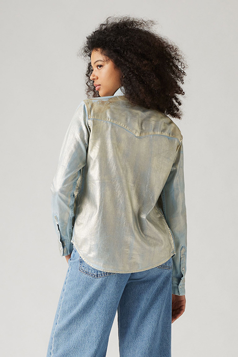 ICONIC WESTERN OPTICAL ILLUSION TOP 2