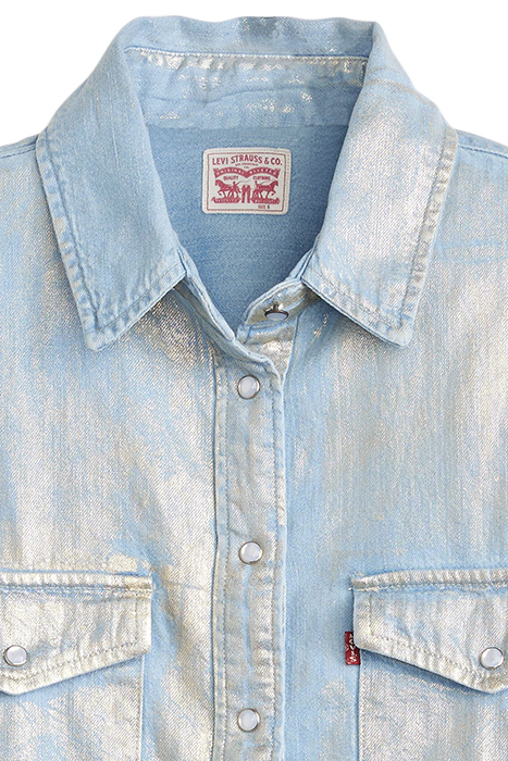 ICONIC WESTERN OPTICAL ILLUSION TOP 6