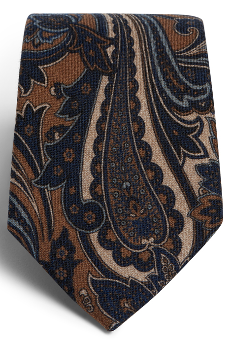 NAVY PAISLEY PAISLEY TIE 2
