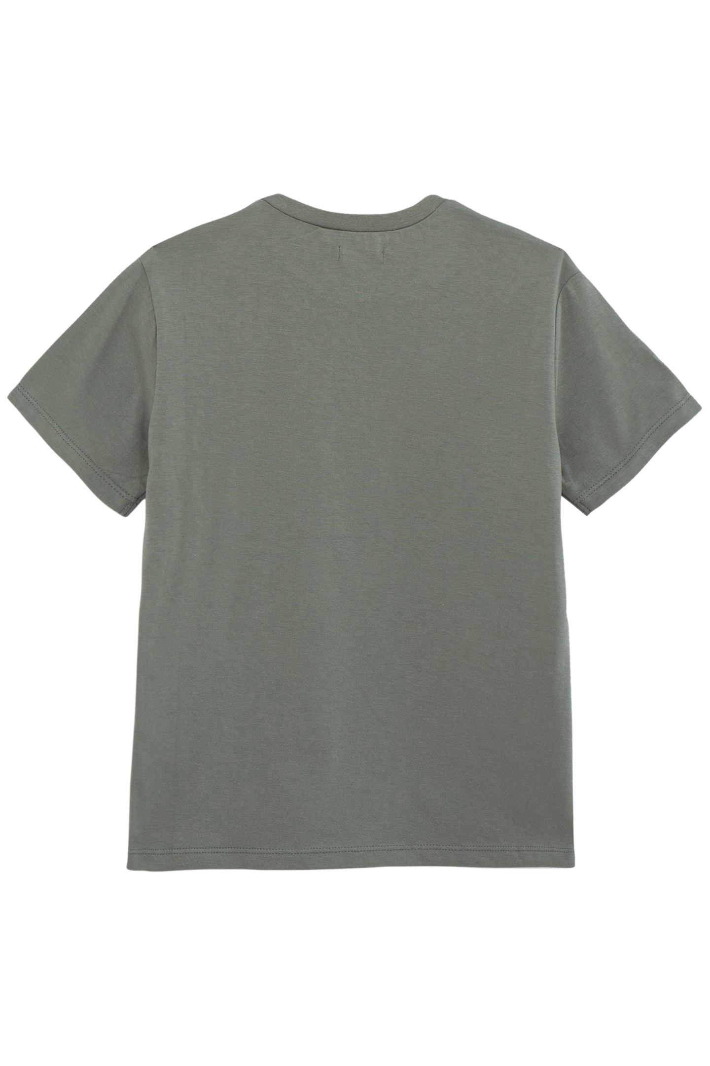 BOYS’ KHAKI T-SHIRT WITH TIGER-SURFER IMAGE 2