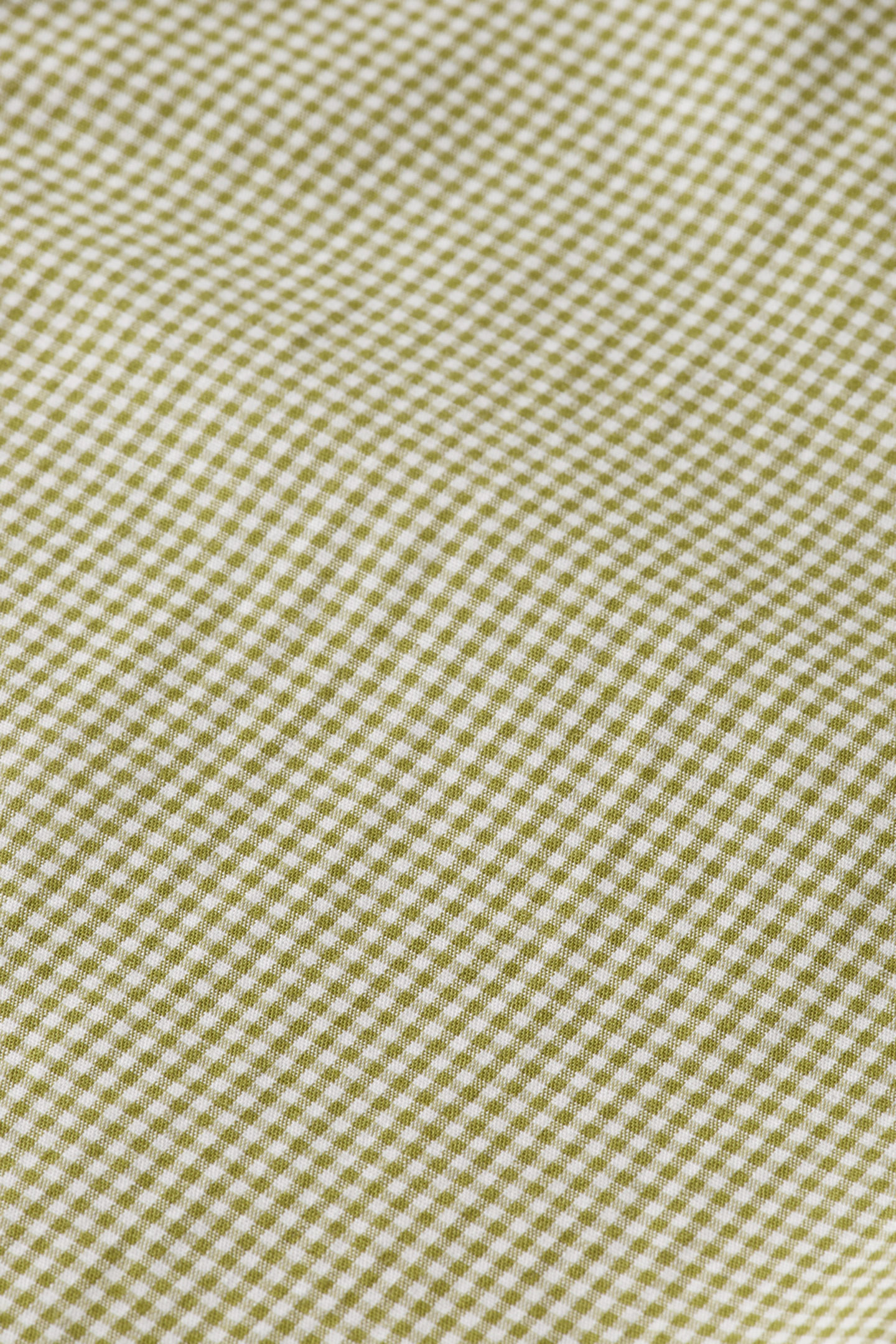 SEASONAL ESSENTIALS POPLIN CHECKED SHIRT GREEN CHECK 8