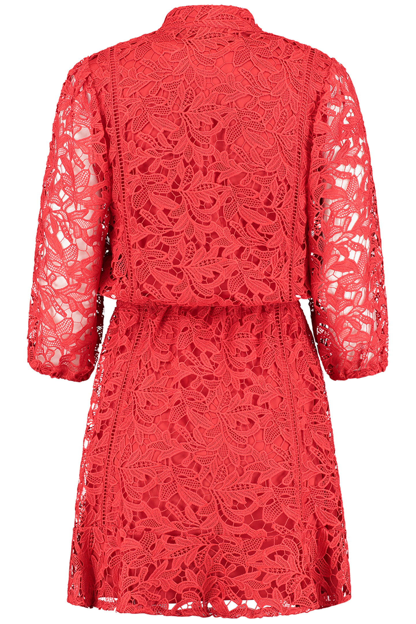 DIJON DRESS GOJI BERRY 2