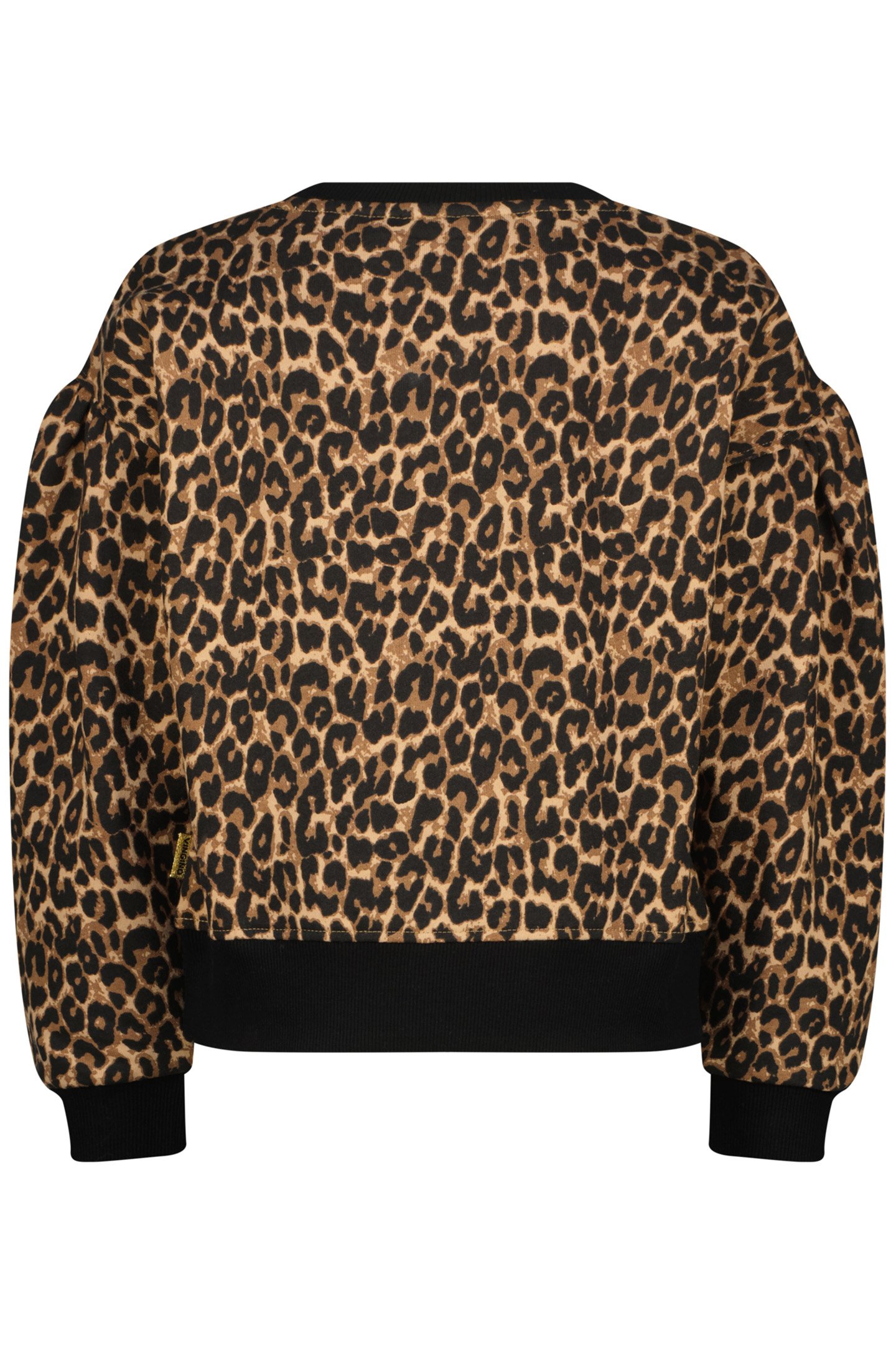 NORIEN MULTICOLOR BROWN 2