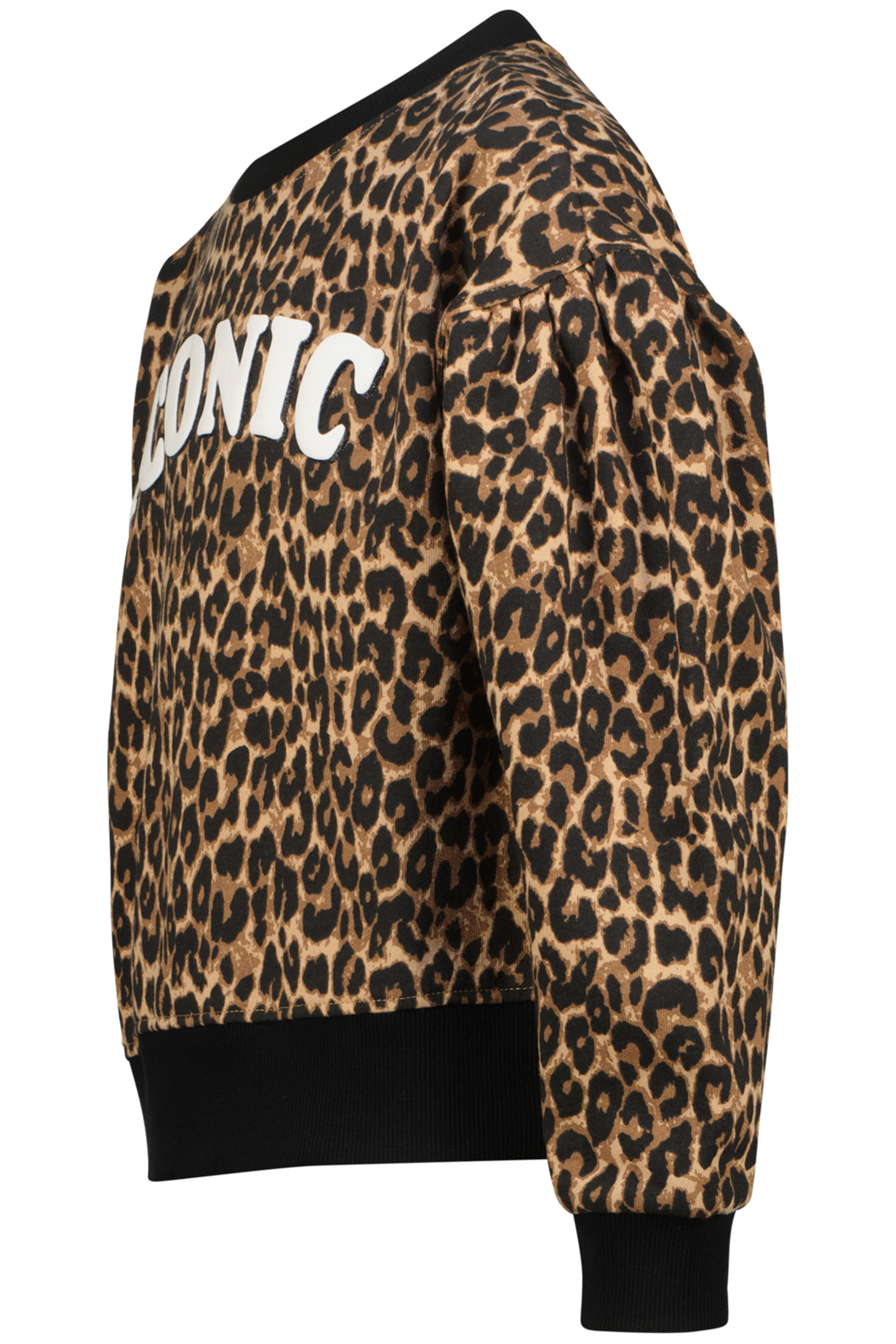 NORIEN MULTICOLOR BROWN 3