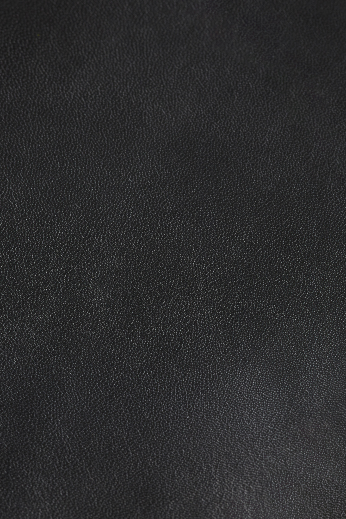 ROBYN NAPPA LEATHER PANT EVENING BLACK 9