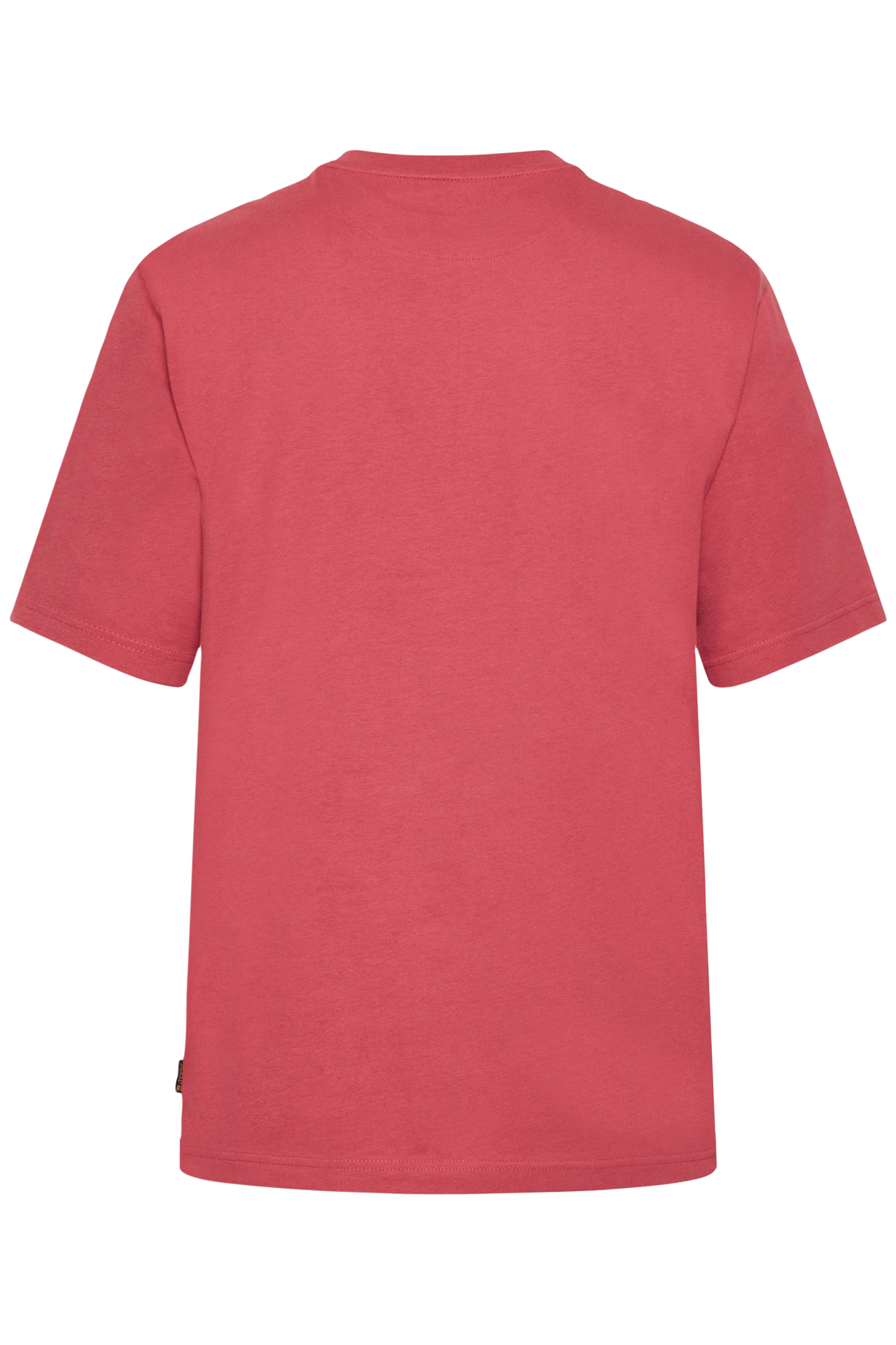 EDDYSI + RED EARTH 5